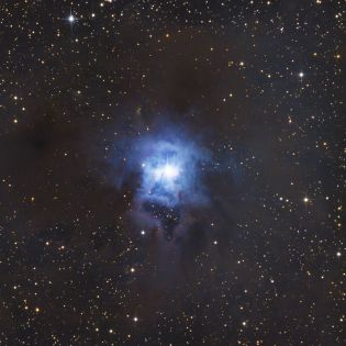 NGC 7023 - Irisnebel