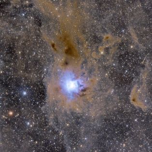 NGC 7023 - Irisnebel