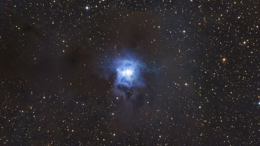 NGC 7023 - Irisnebel