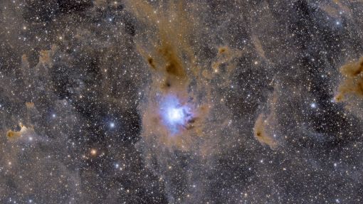 NGC 7023 - Irisnebel